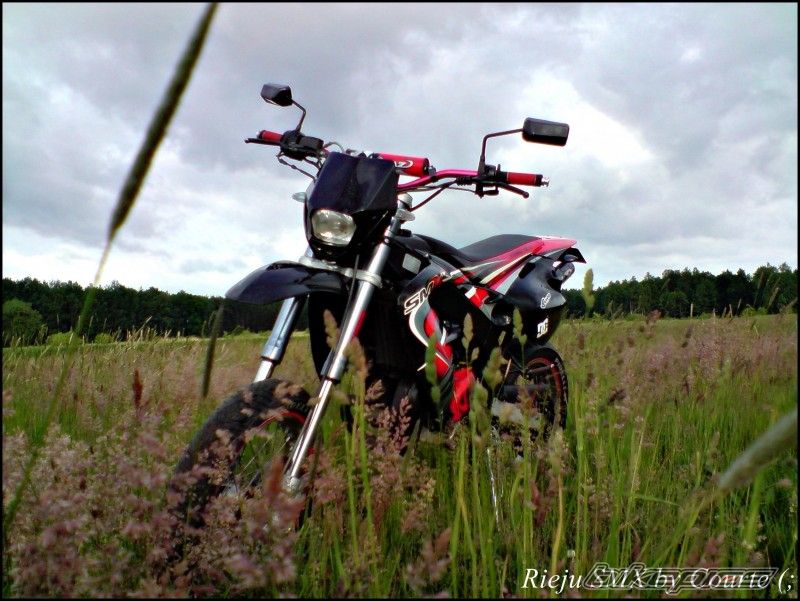 Photo 1692489