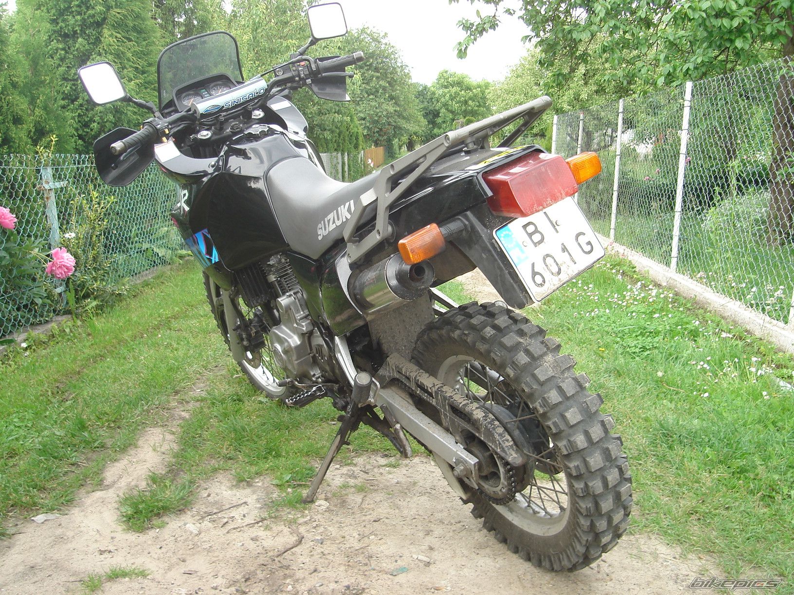Photo 1695585