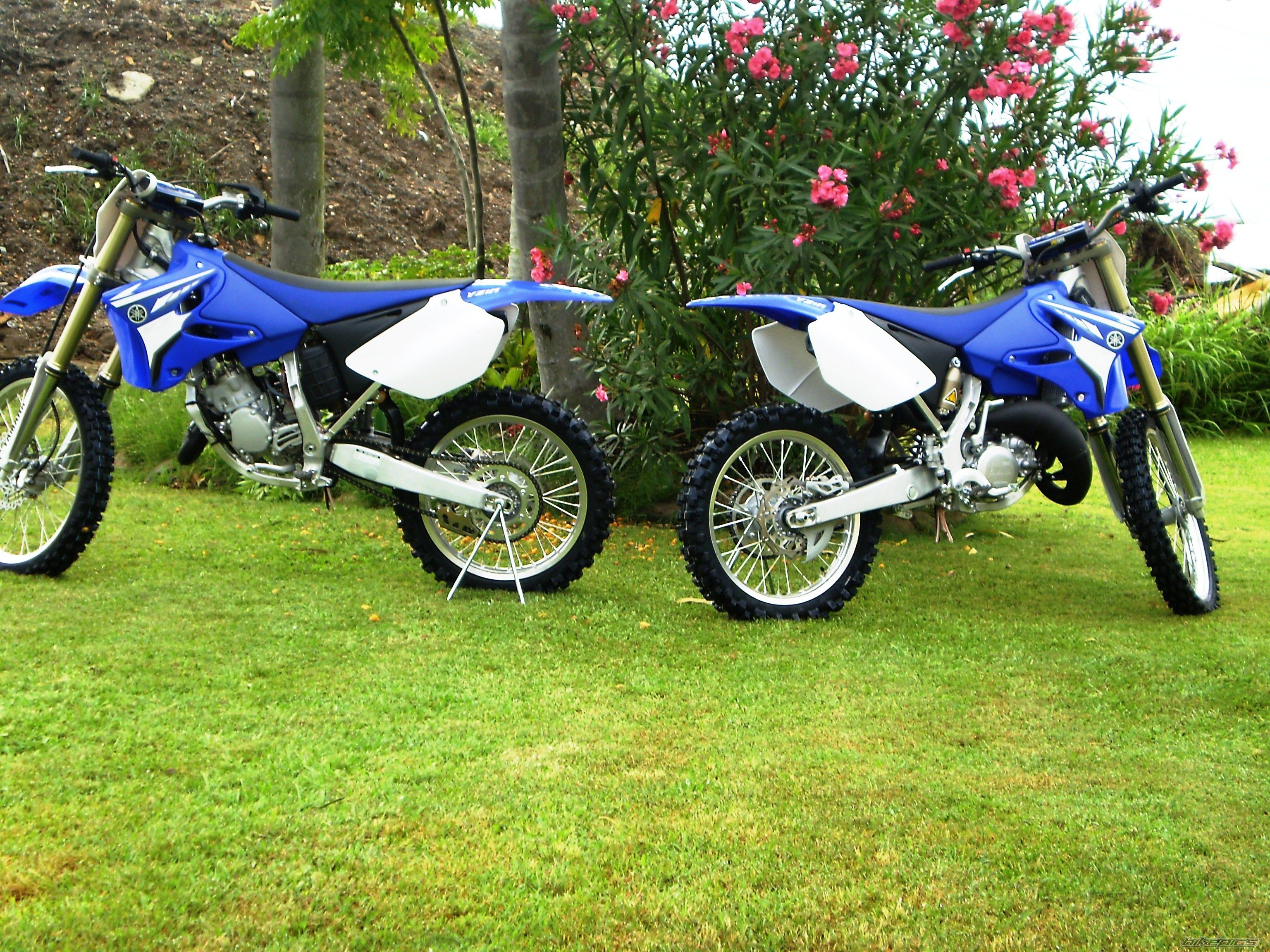 Photo 1697873