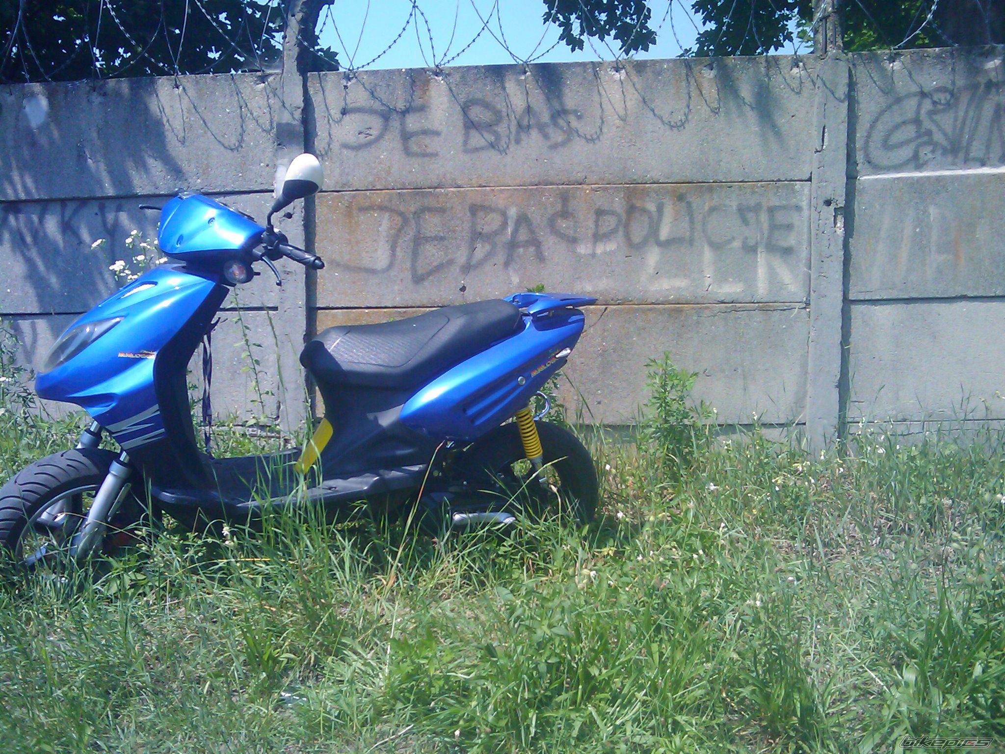 Photo 1715237