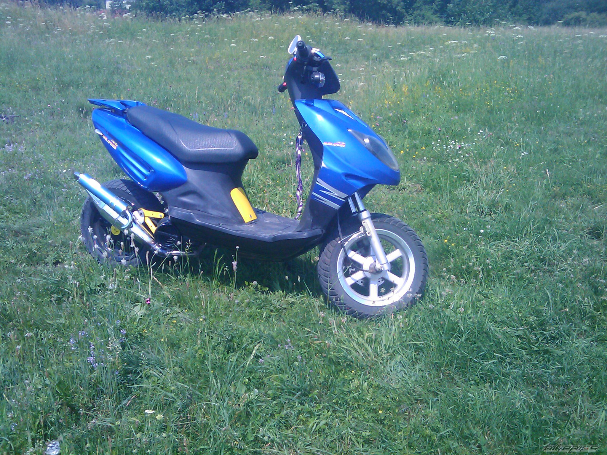 Photo 1715241