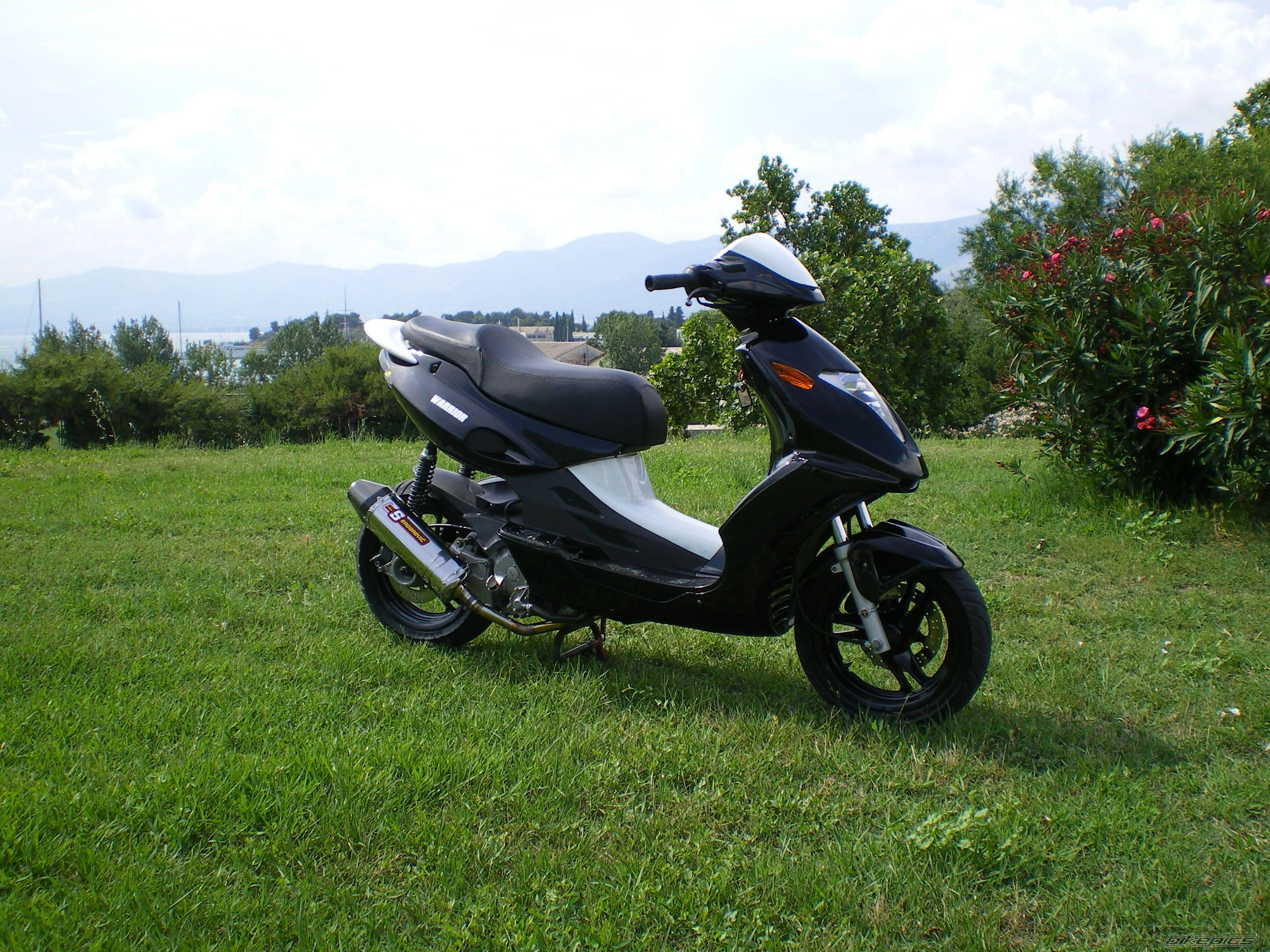 Photo 1715908