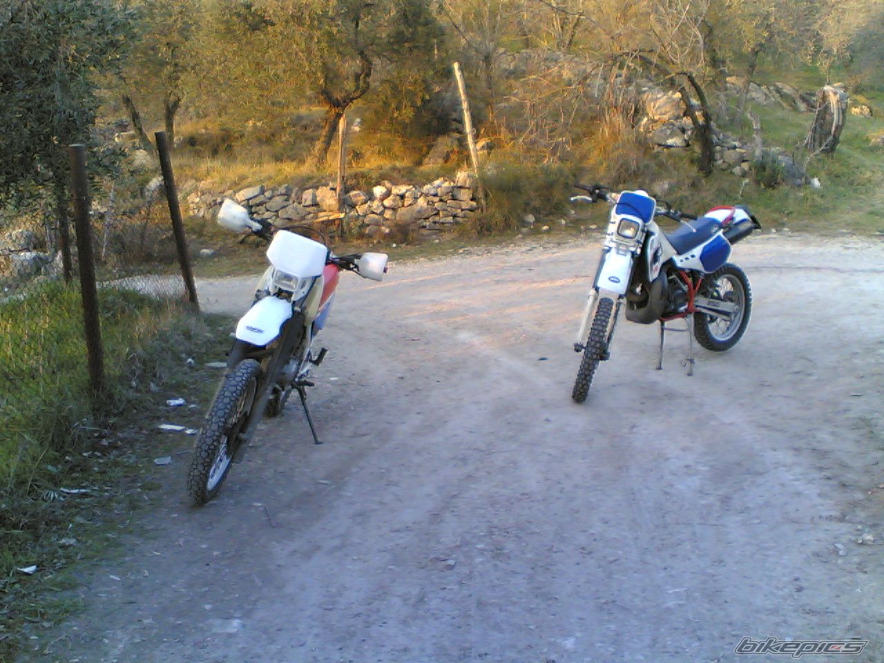 Photo 1716919