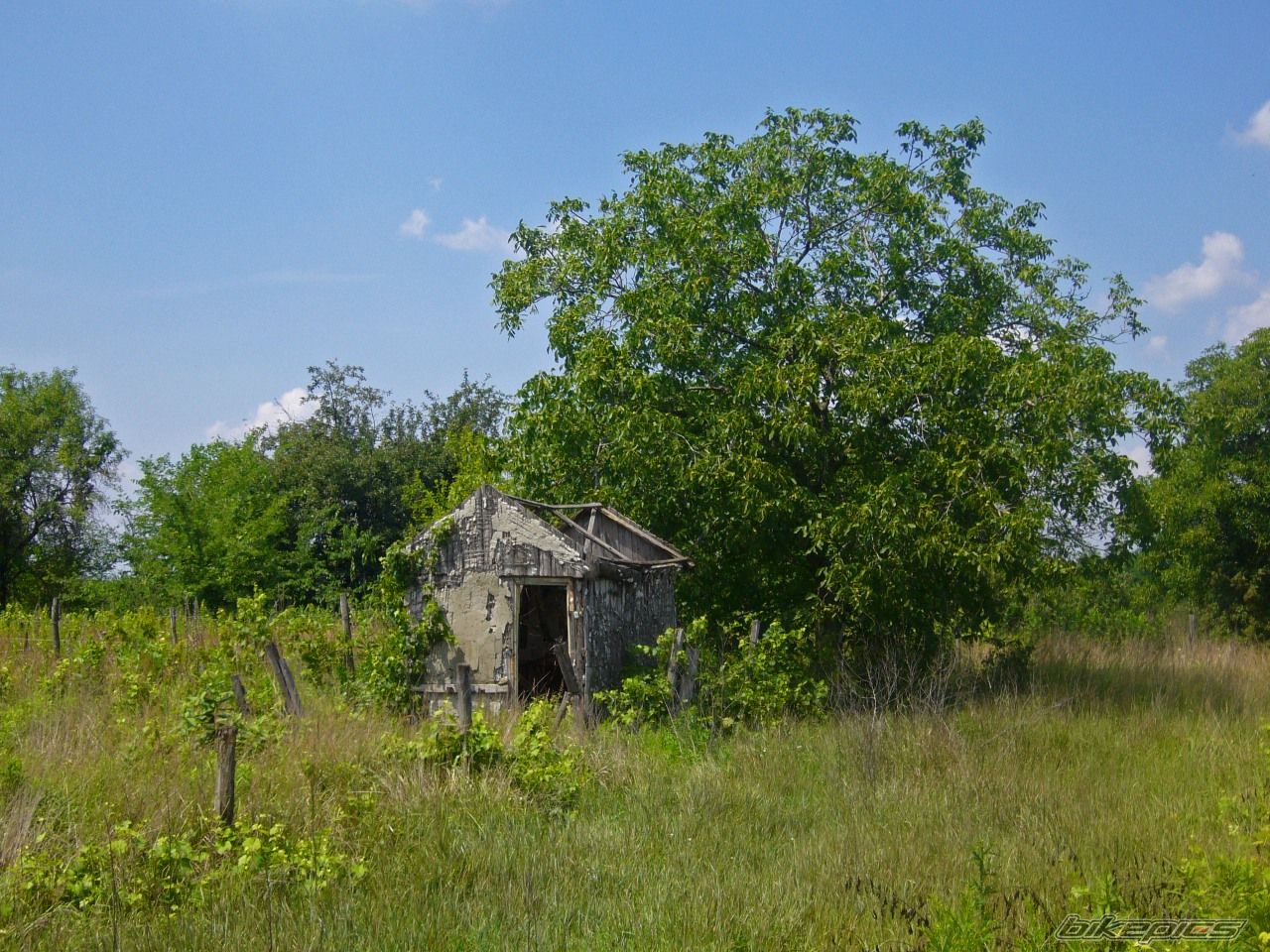 Photo 1717308