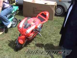 Photo 171794