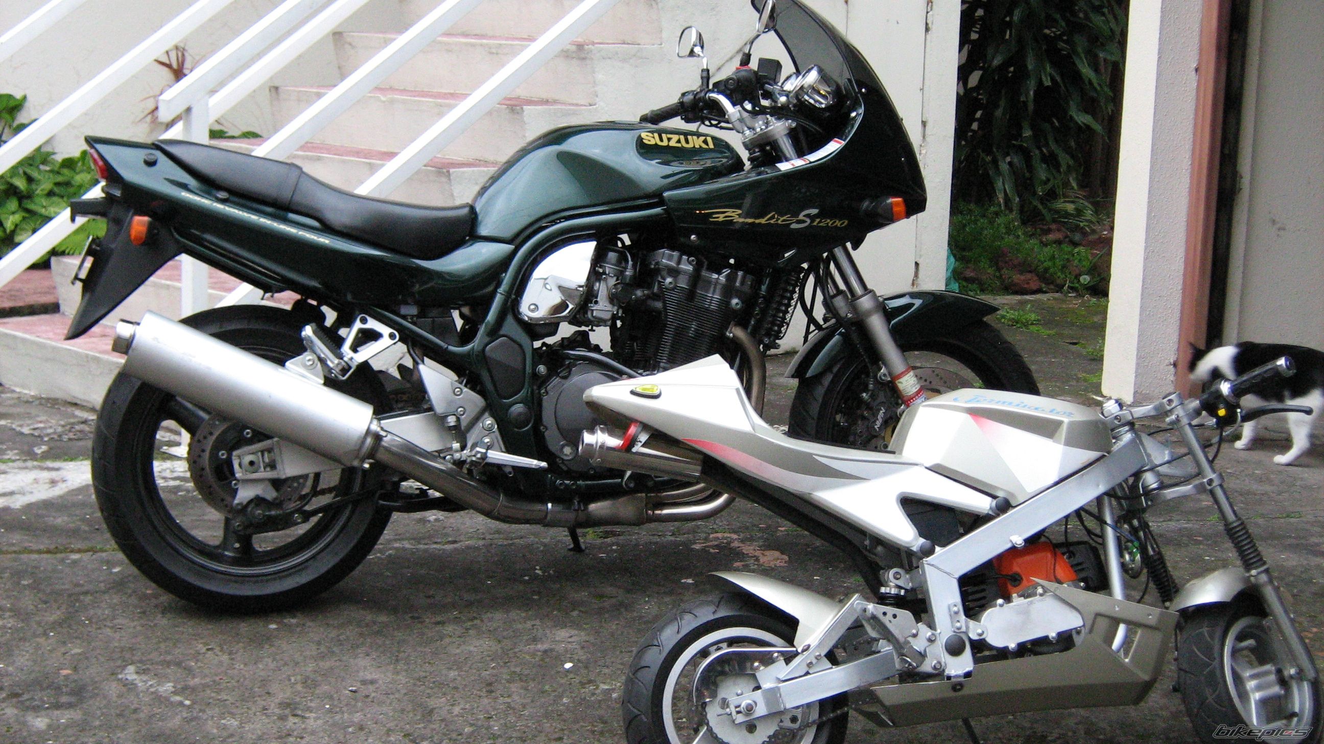 Photo 1723782