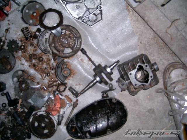 Photo 1728499