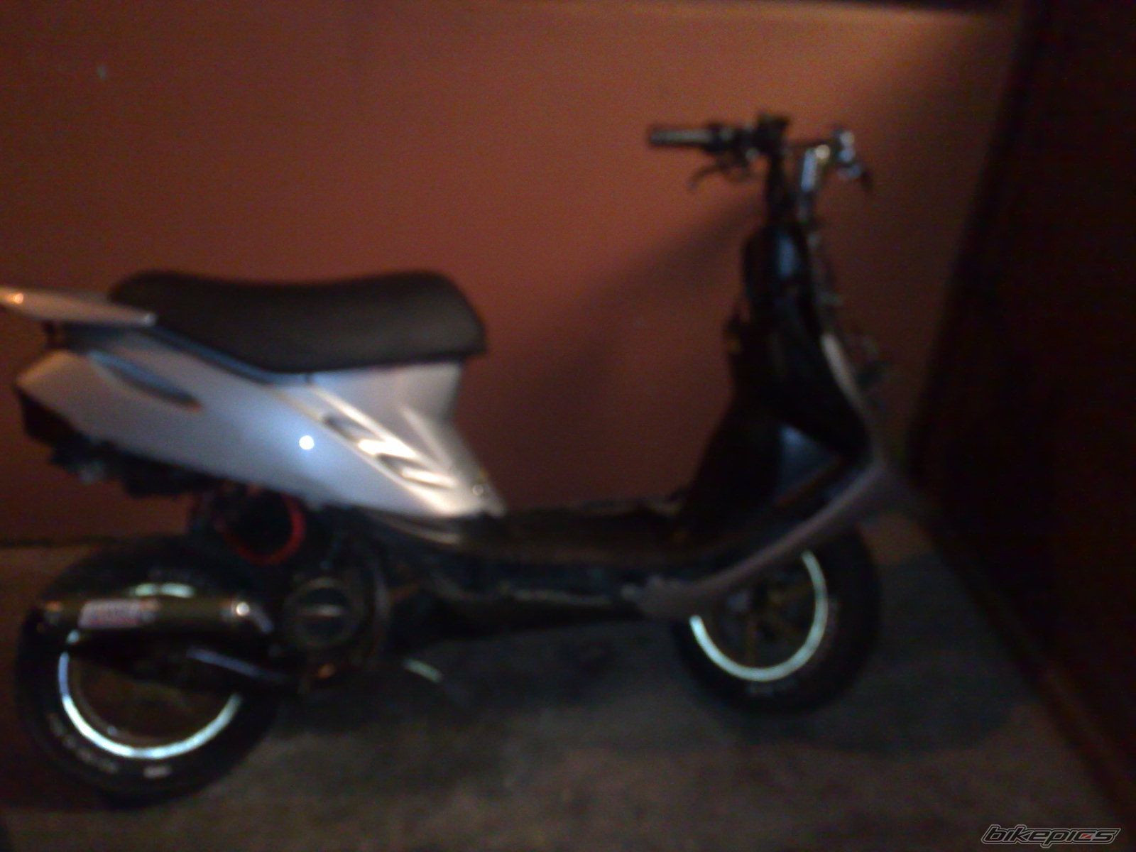 Photo 1729225