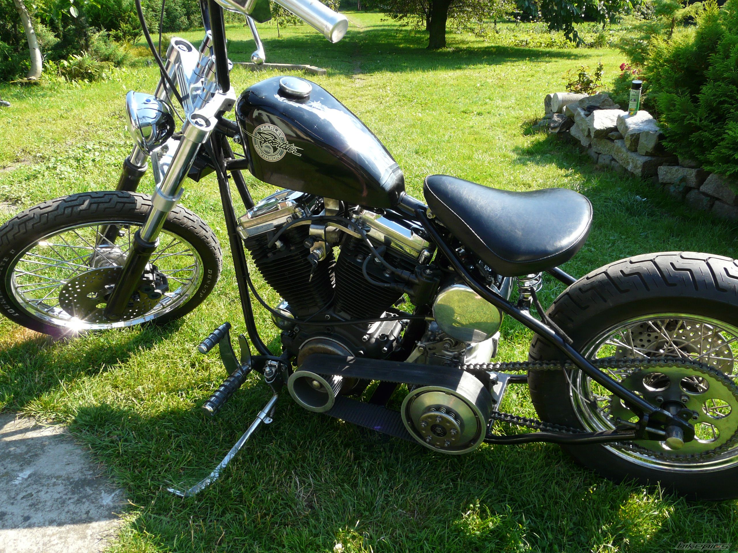 Photo 1731876