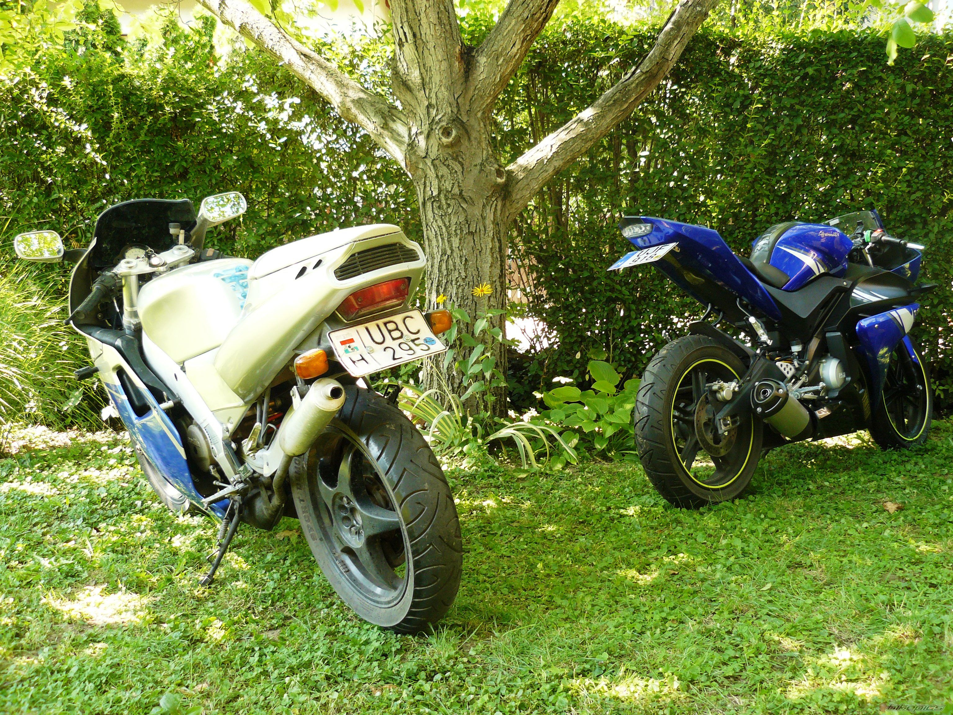 Bike Photo 1735383