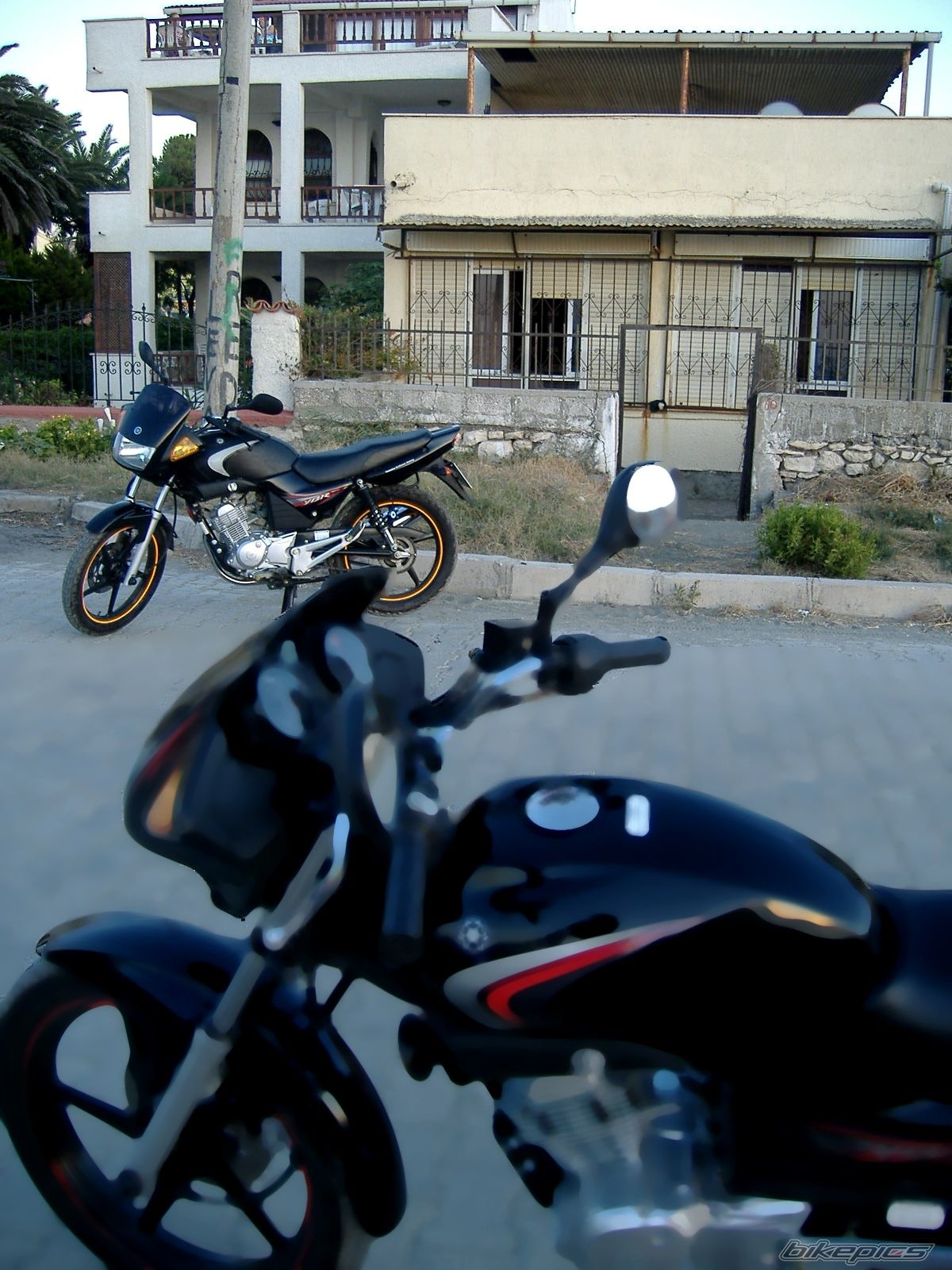Photo 1735411