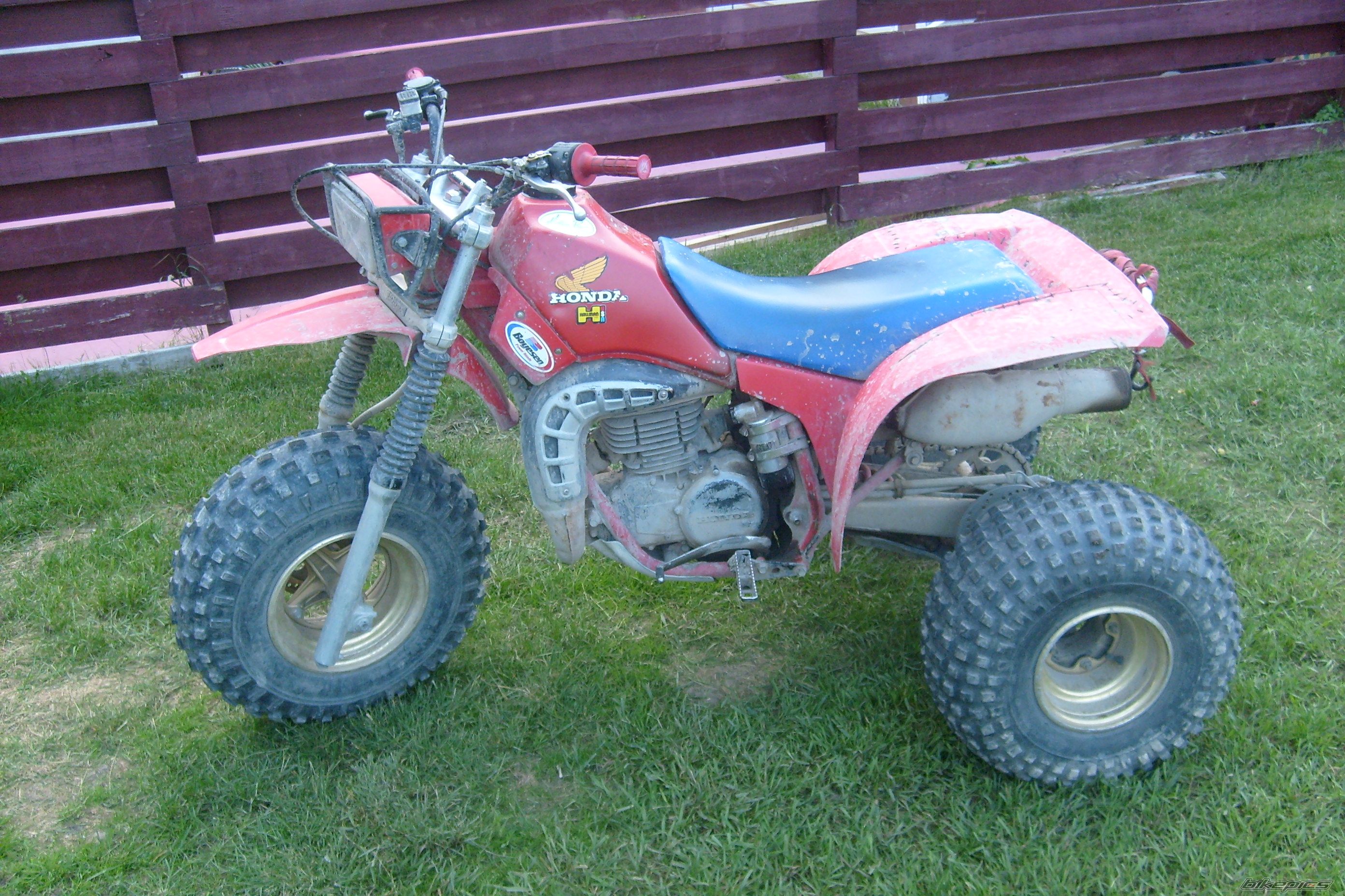 Photo 1735761