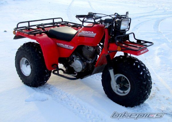 Photo 1737244