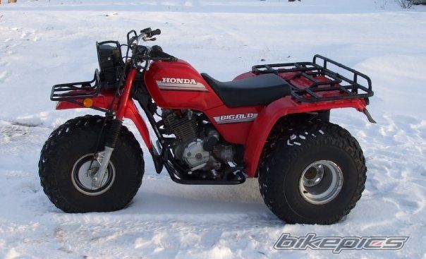 Photo 1737256