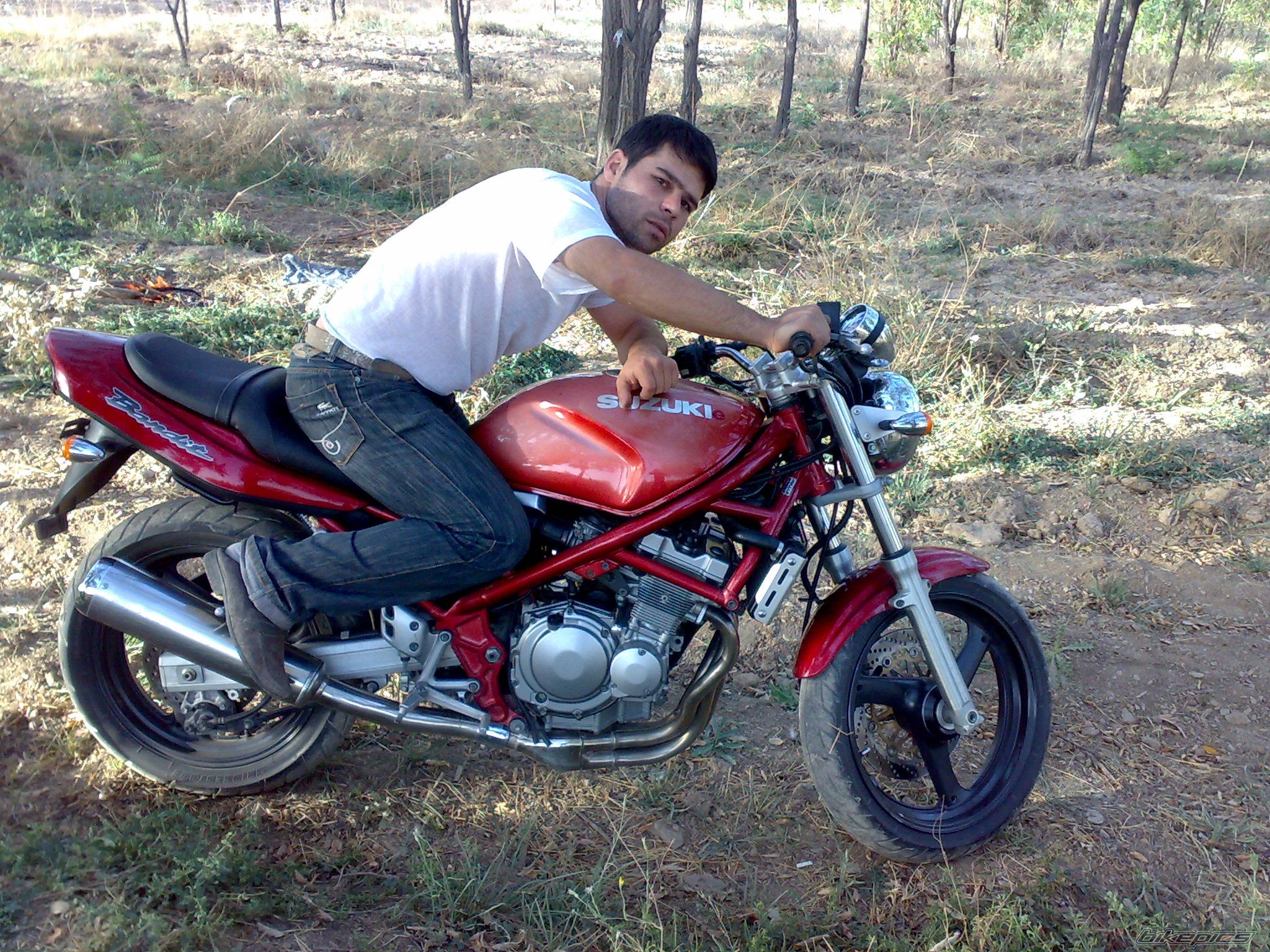Photo 1739665