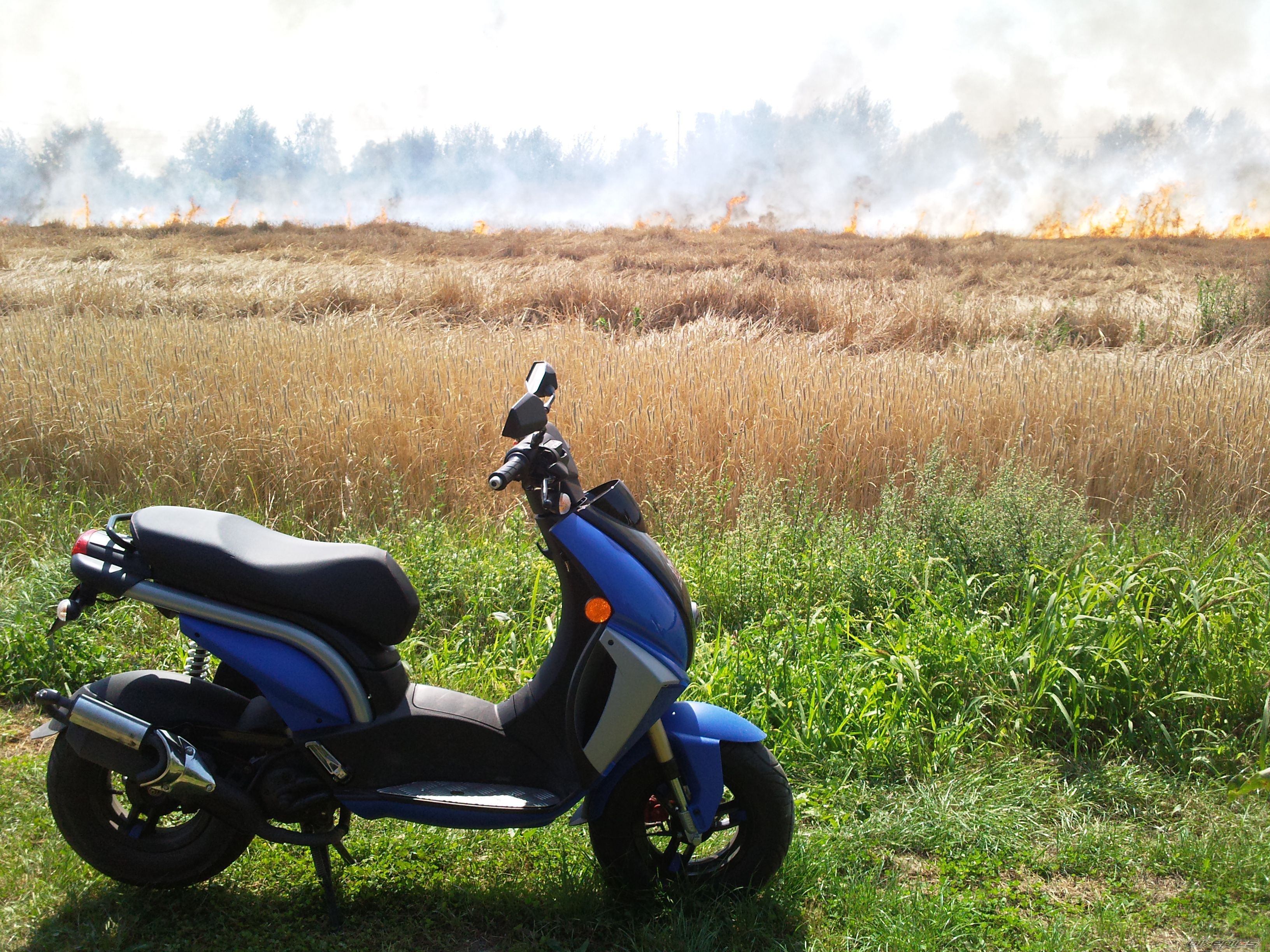 Photo 1743419