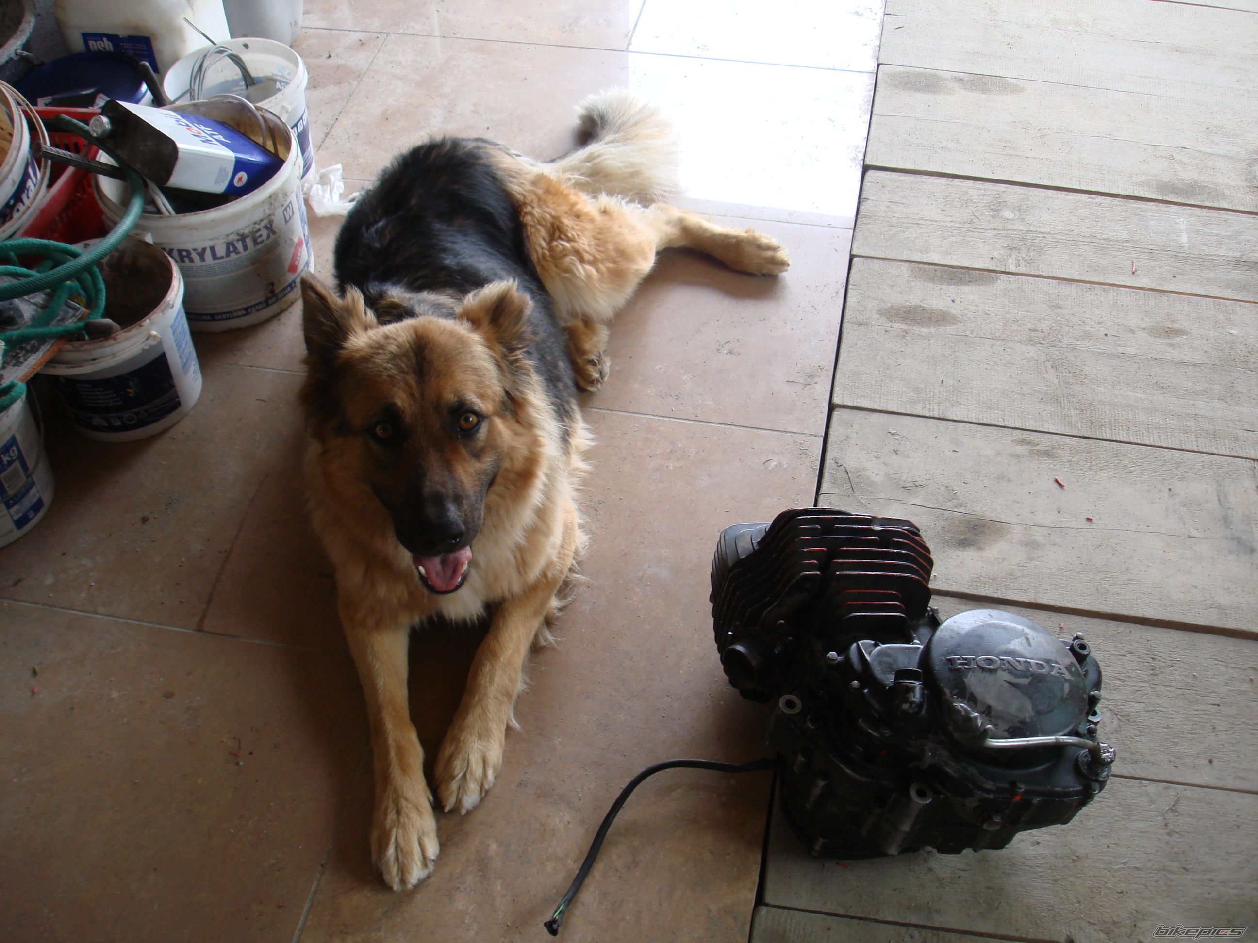 Photo 1747359