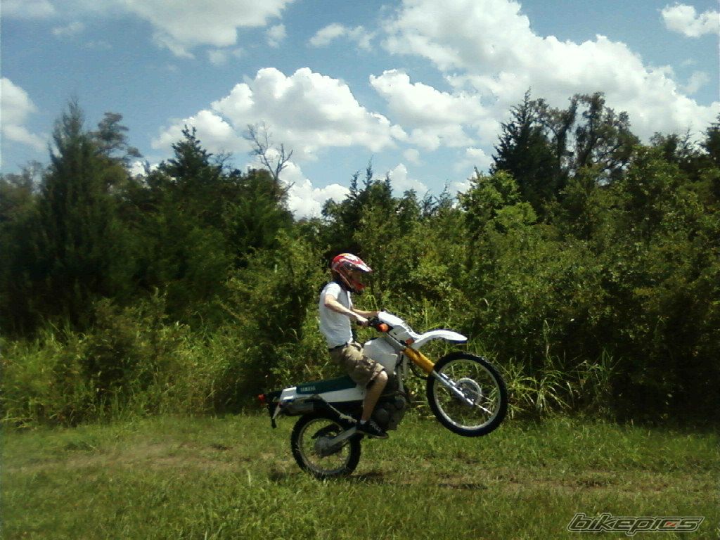 Photo 1750038