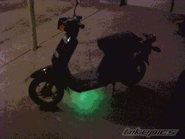 Photo 17599