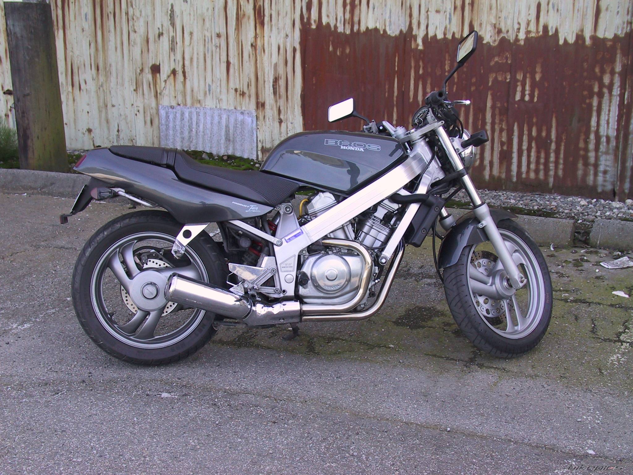 Photo 176191