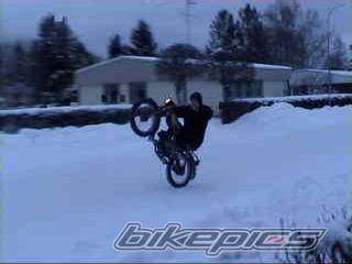 Photo 176627