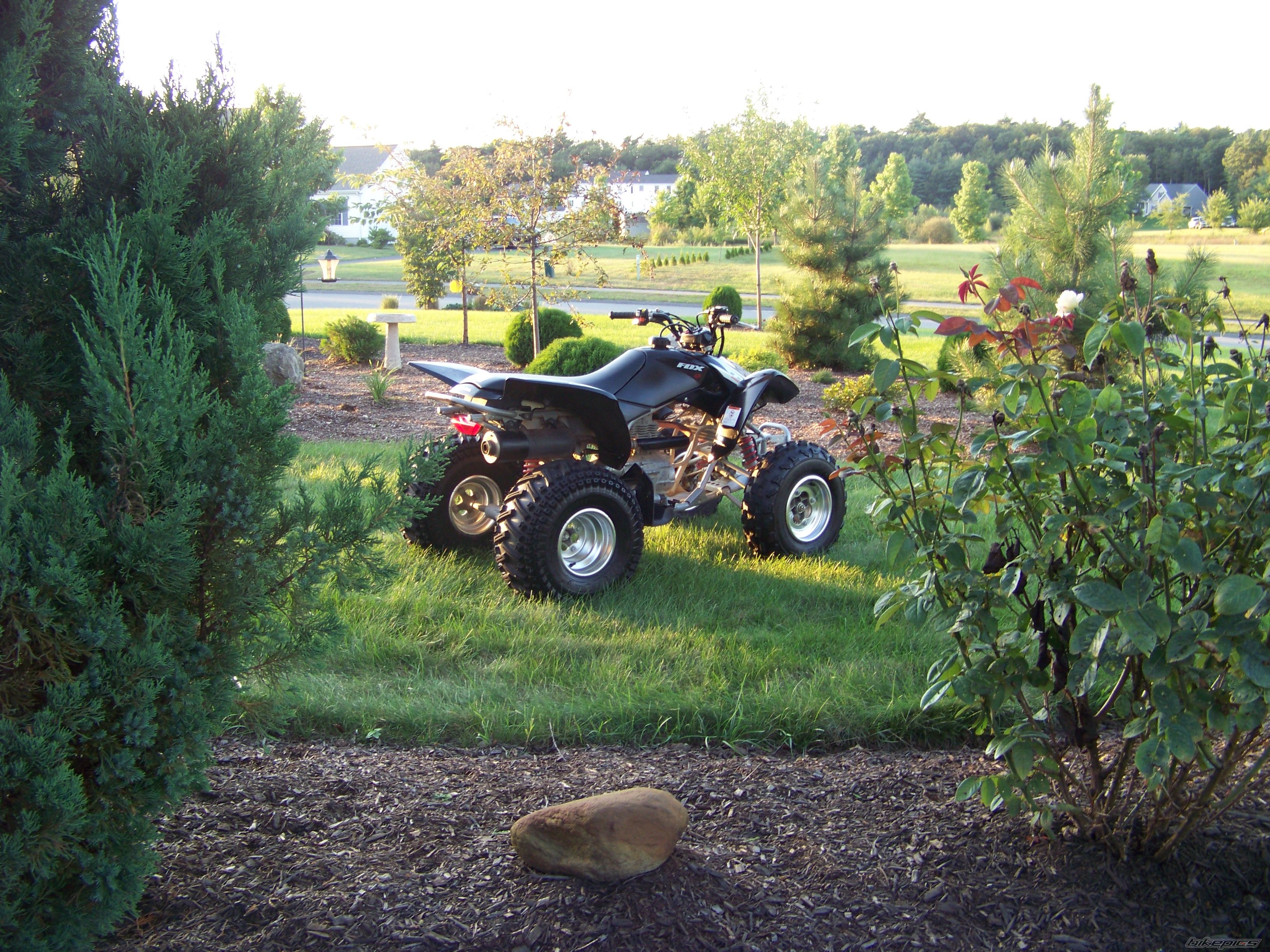 Bike Photo 1770454