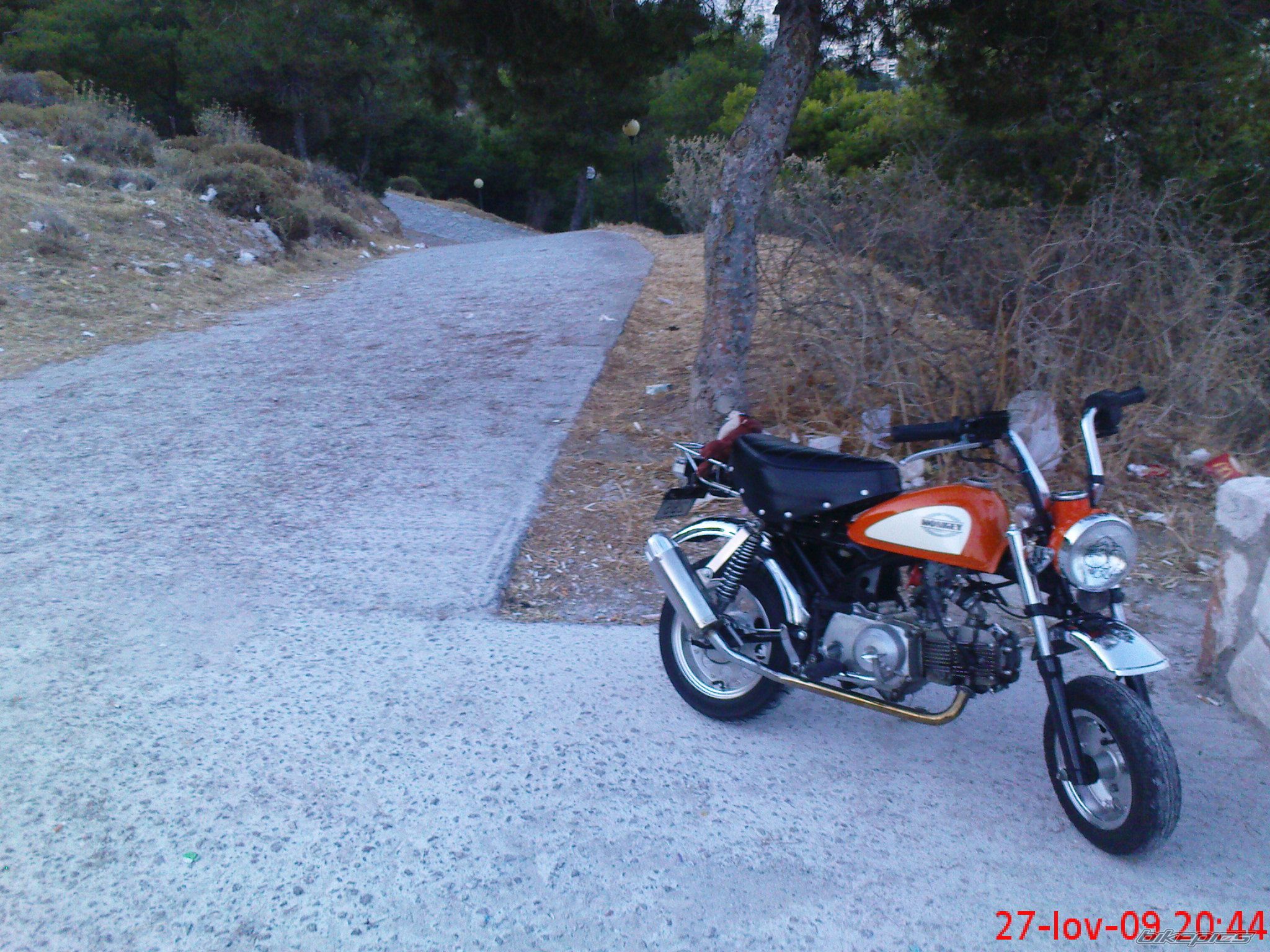 Photo 1772079