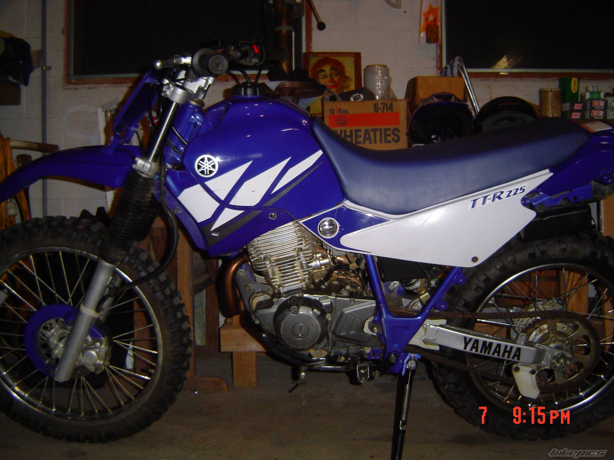 Photo 177248