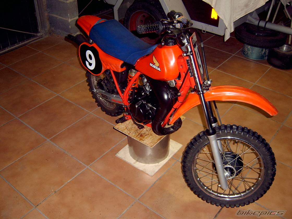 Photo 177484