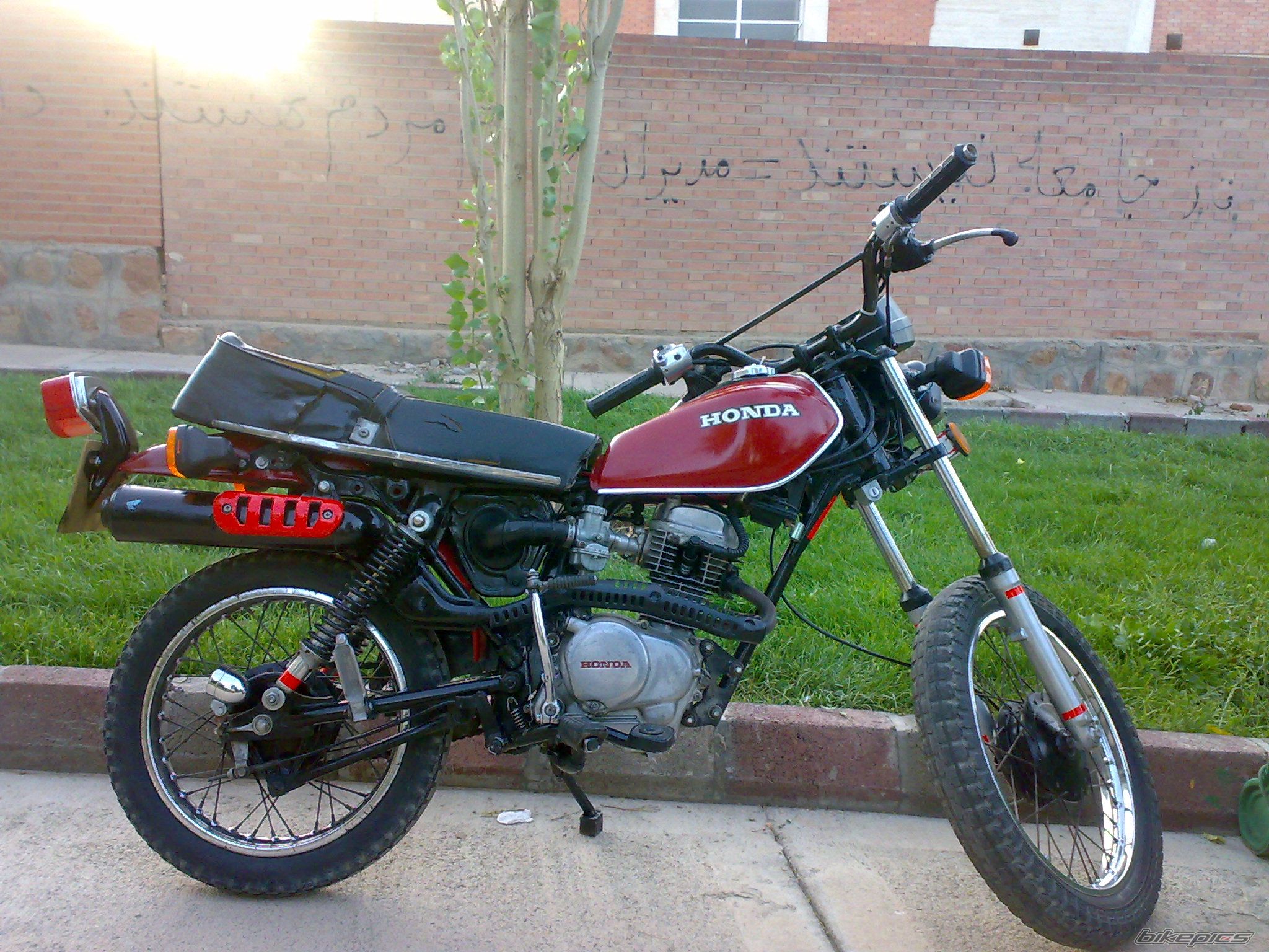 Photo 1776207