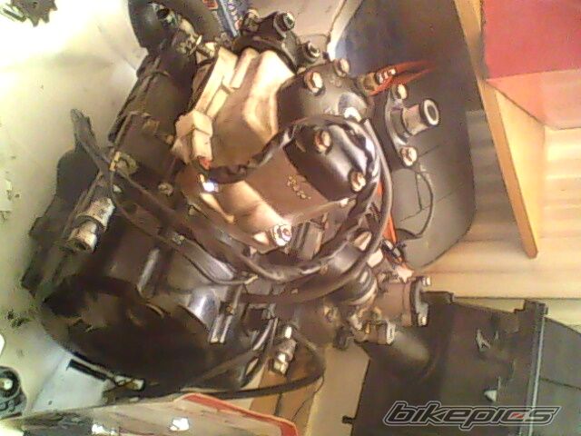 Photo 1776453