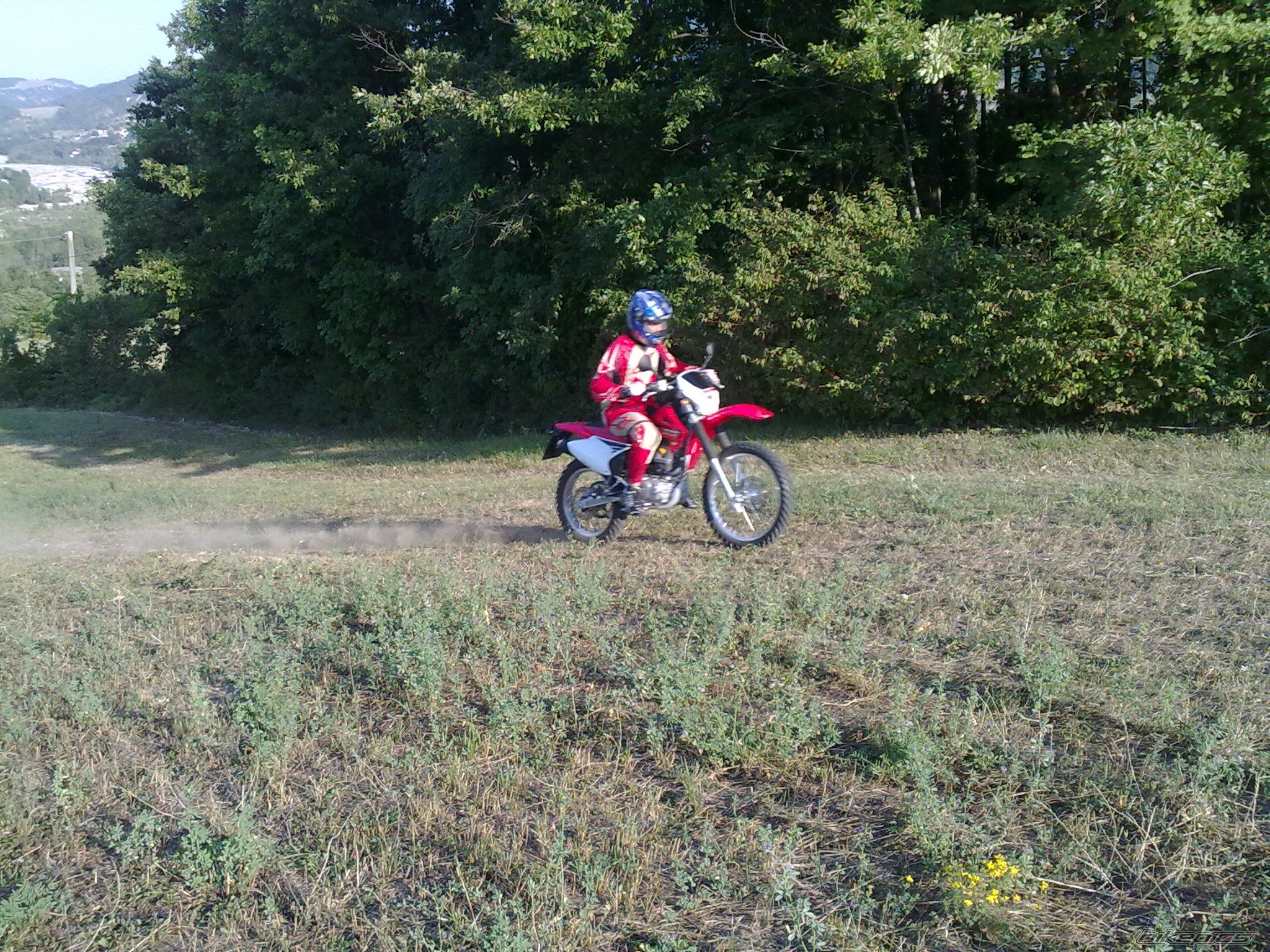 Photo 1777309