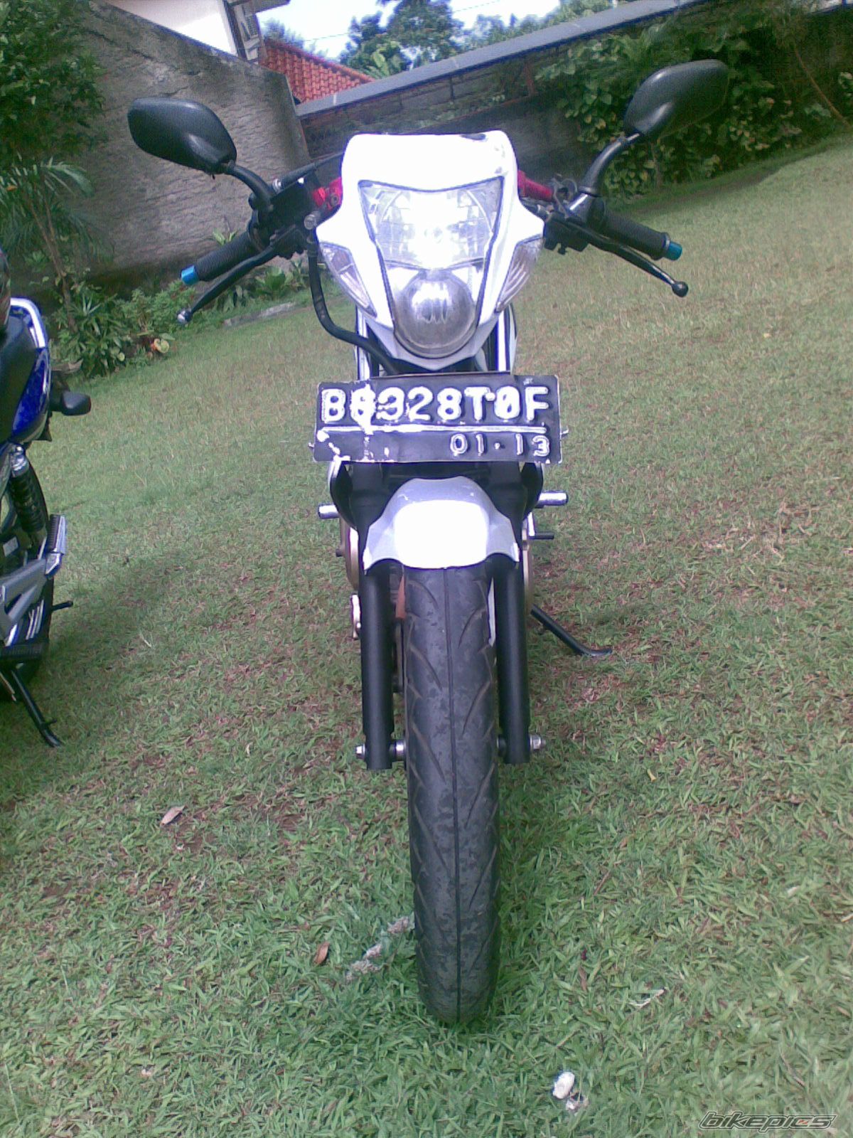 Photo 1778244