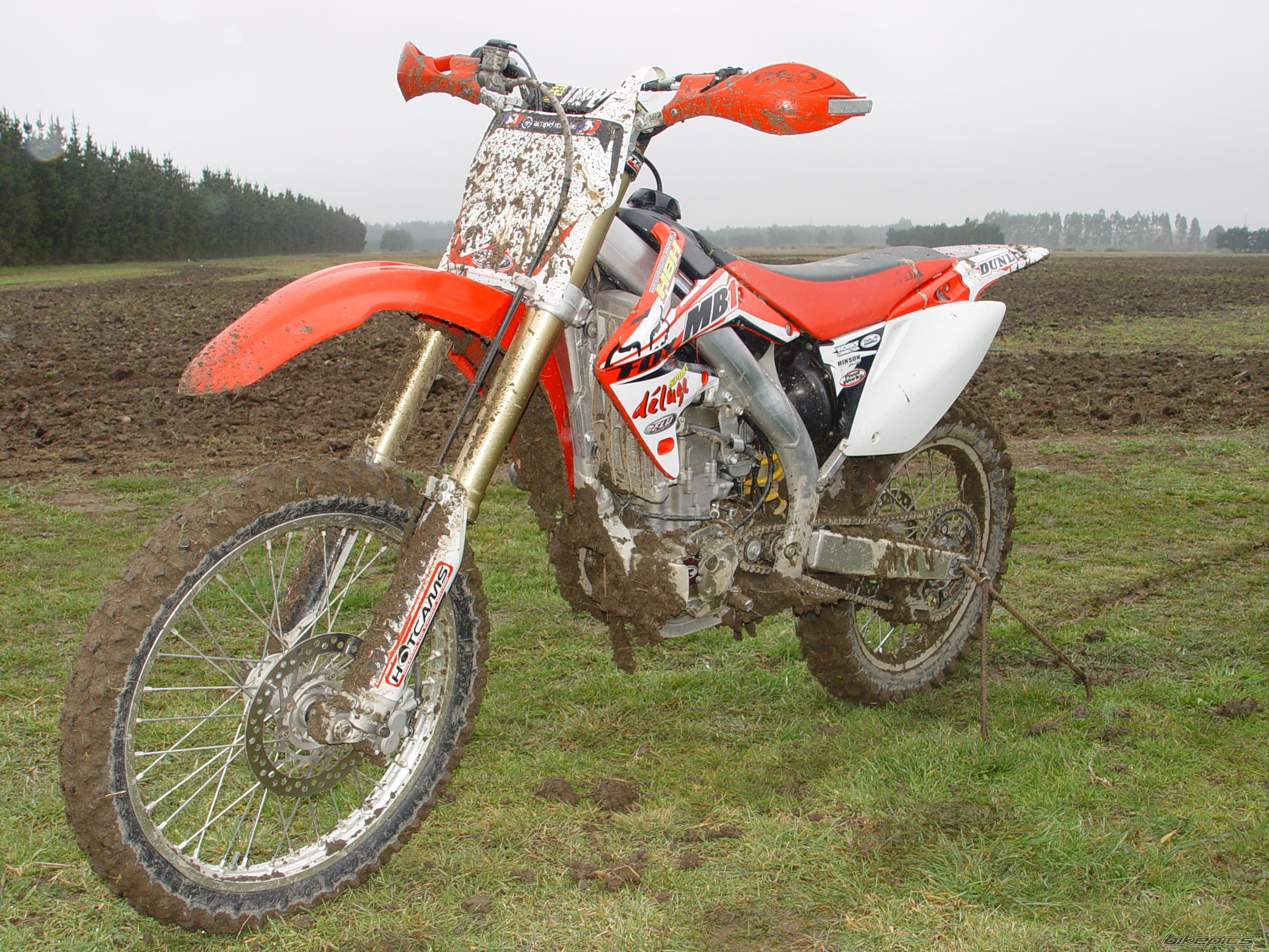 Photo 1778428