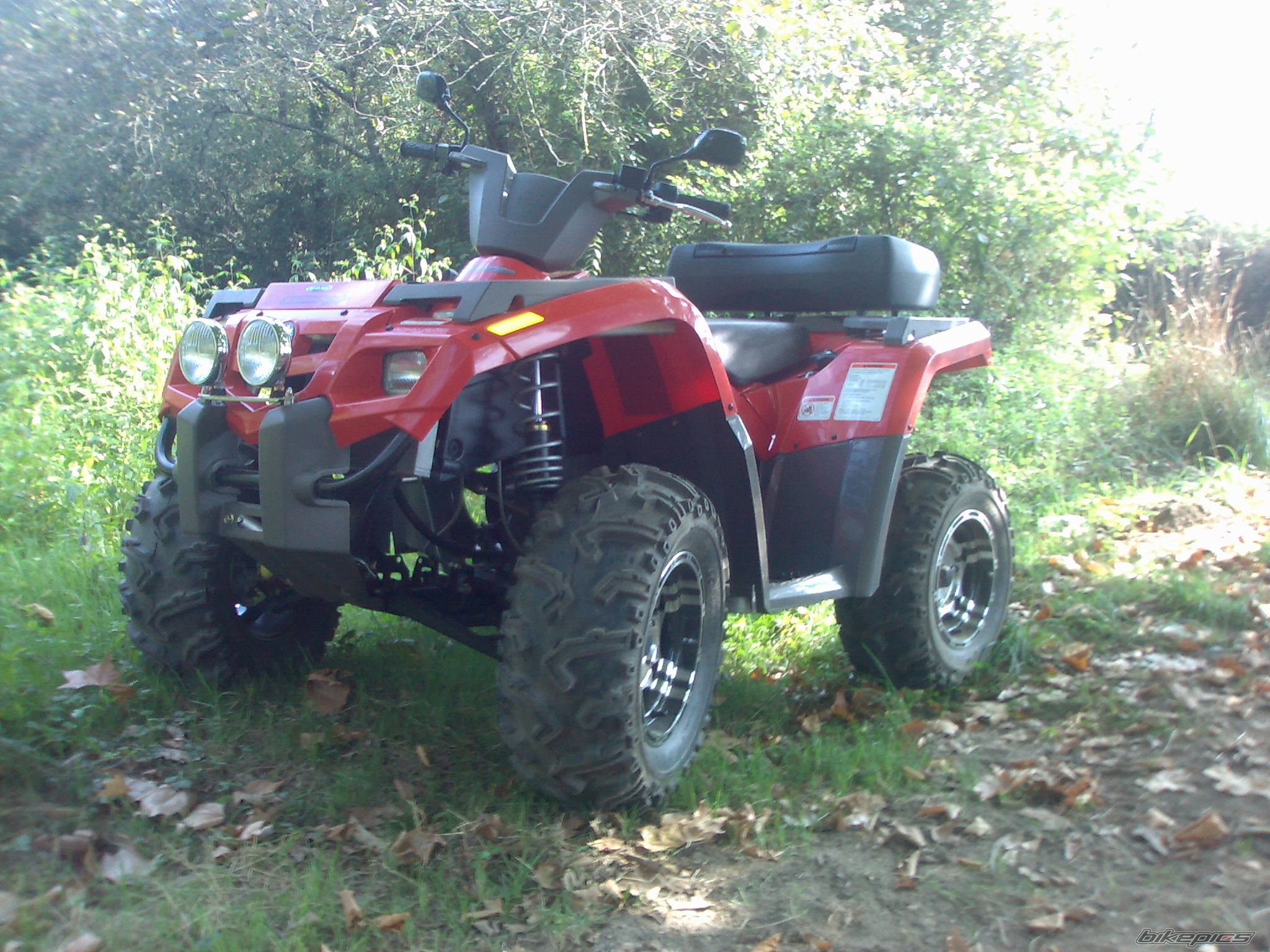 Photo 1780891