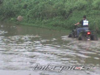 Photo 1782202