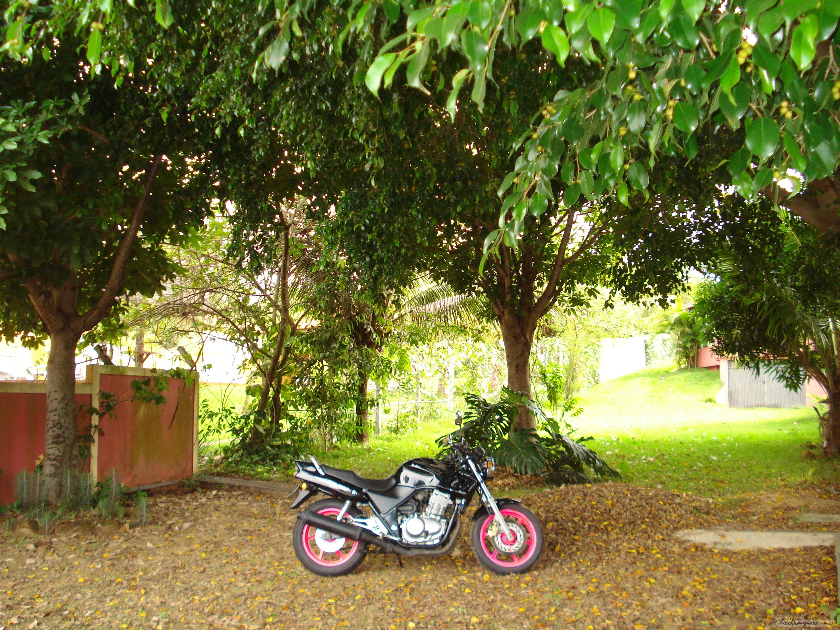 Photo 1785405
