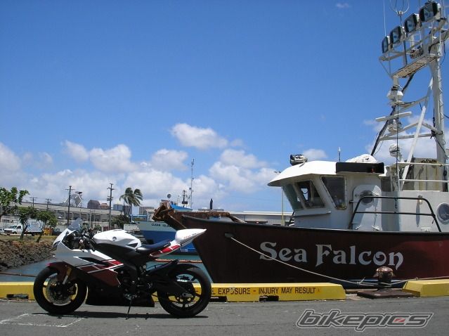 Photo 1786279