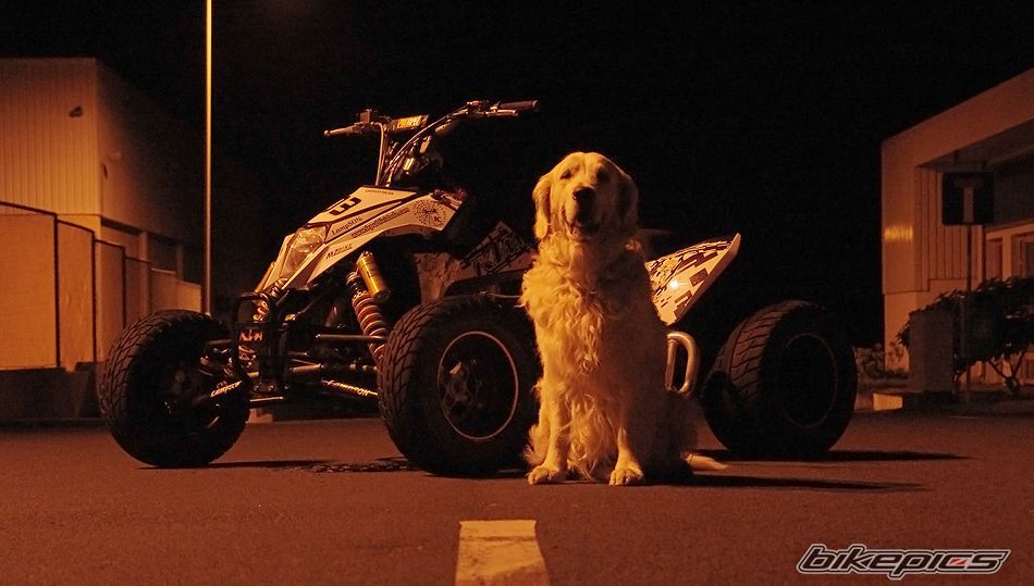 Photo 1786284