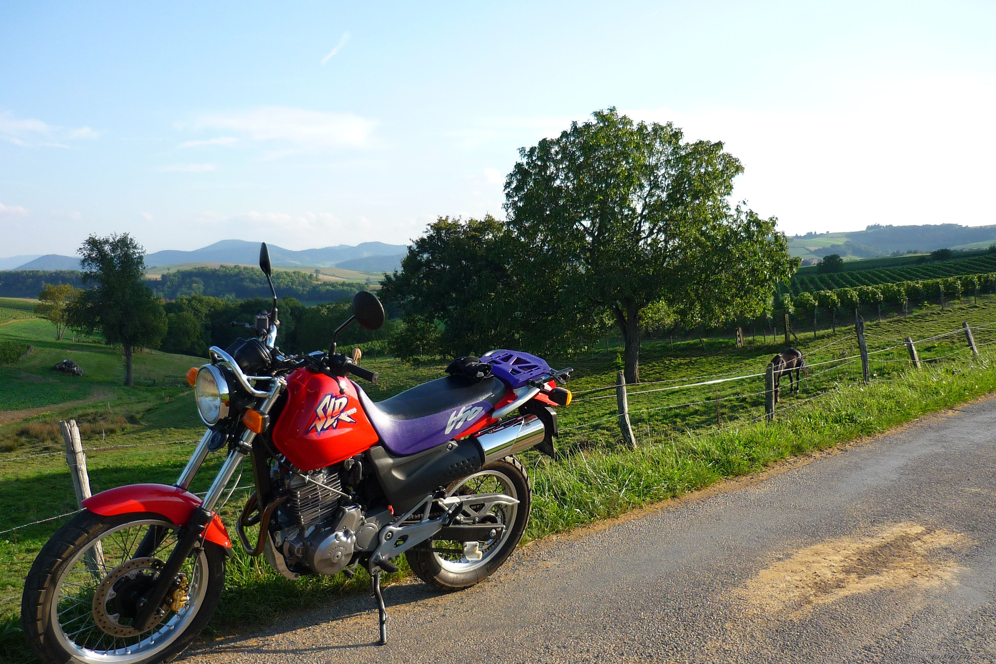 Bike Photo 1788662