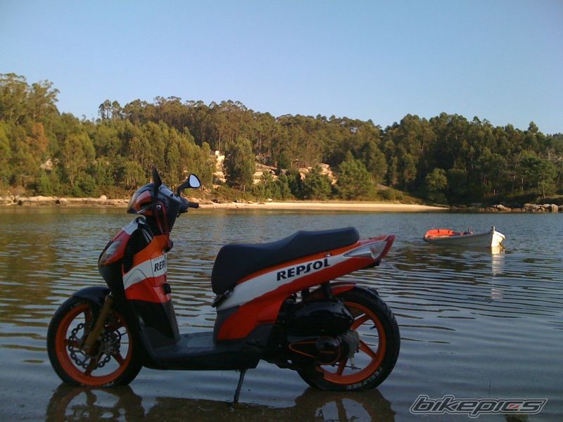 Photo 1789240