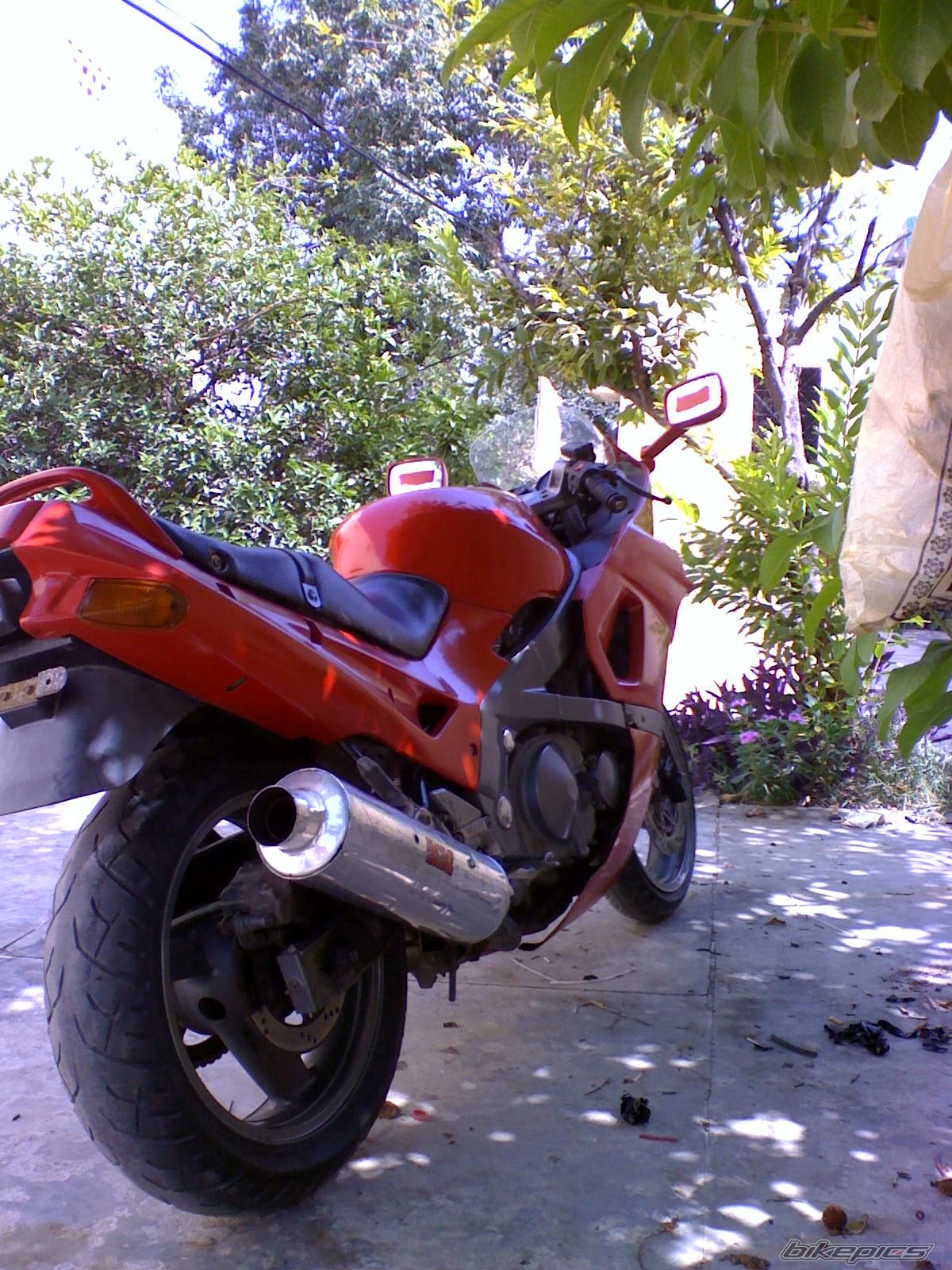 Bike Photo 1794383