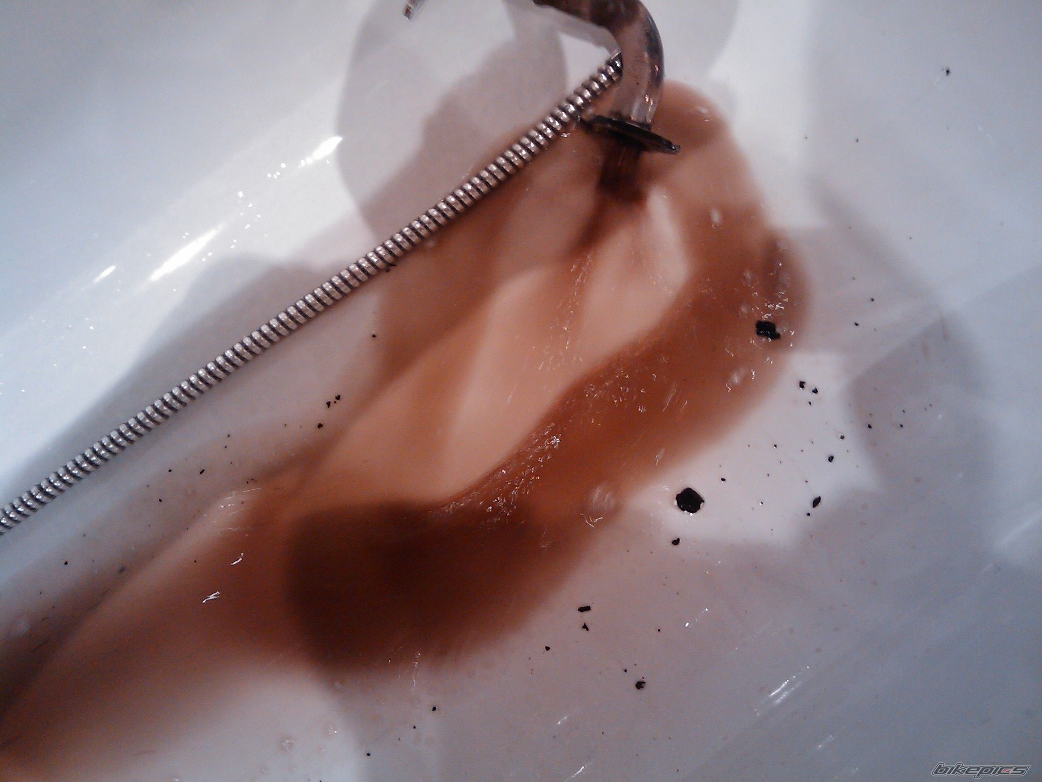 Photo 1795115