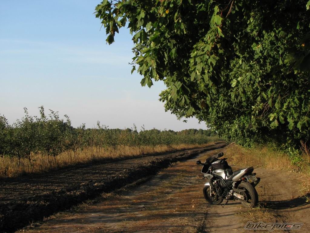 Photo 1797154