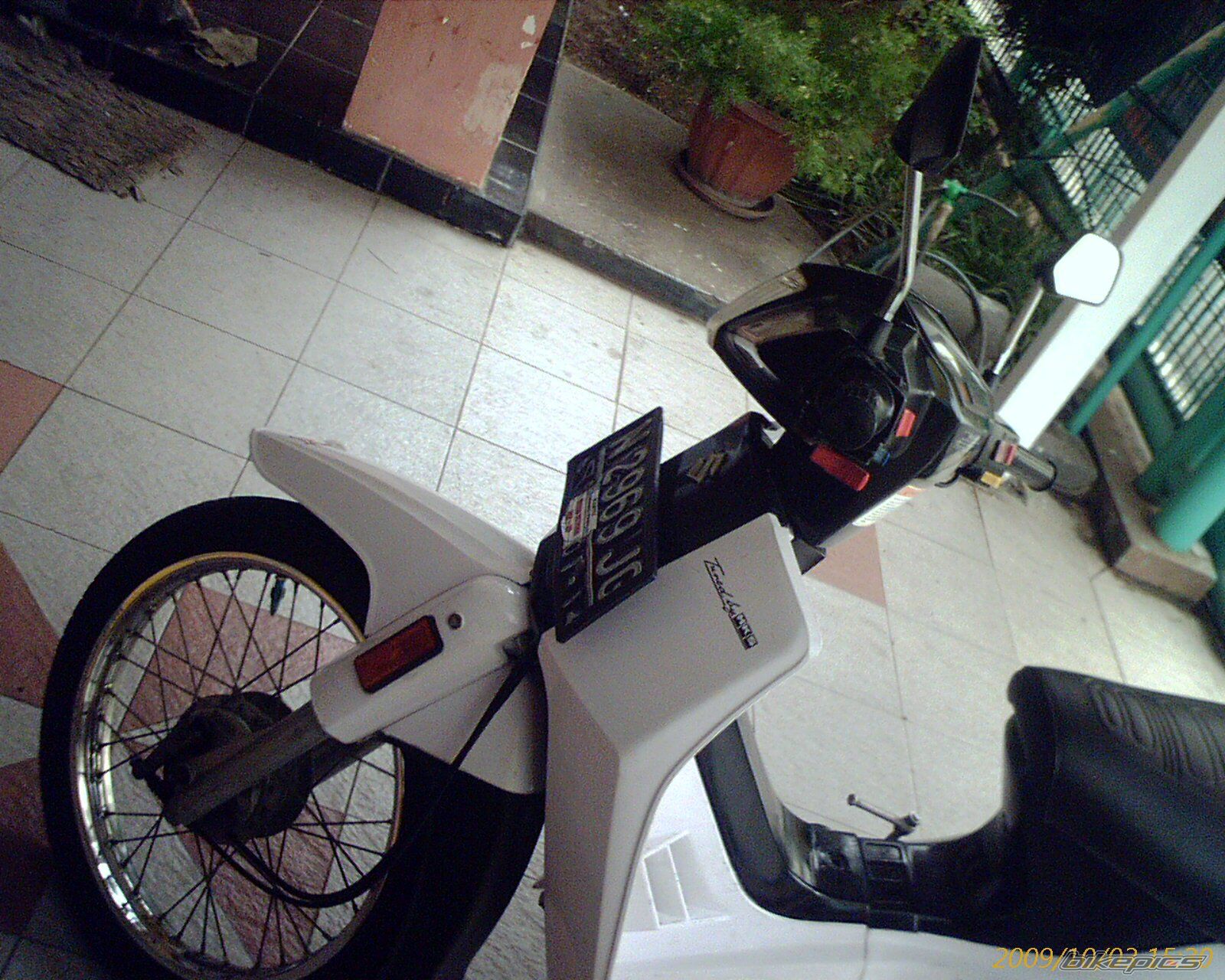 Photo 1797719