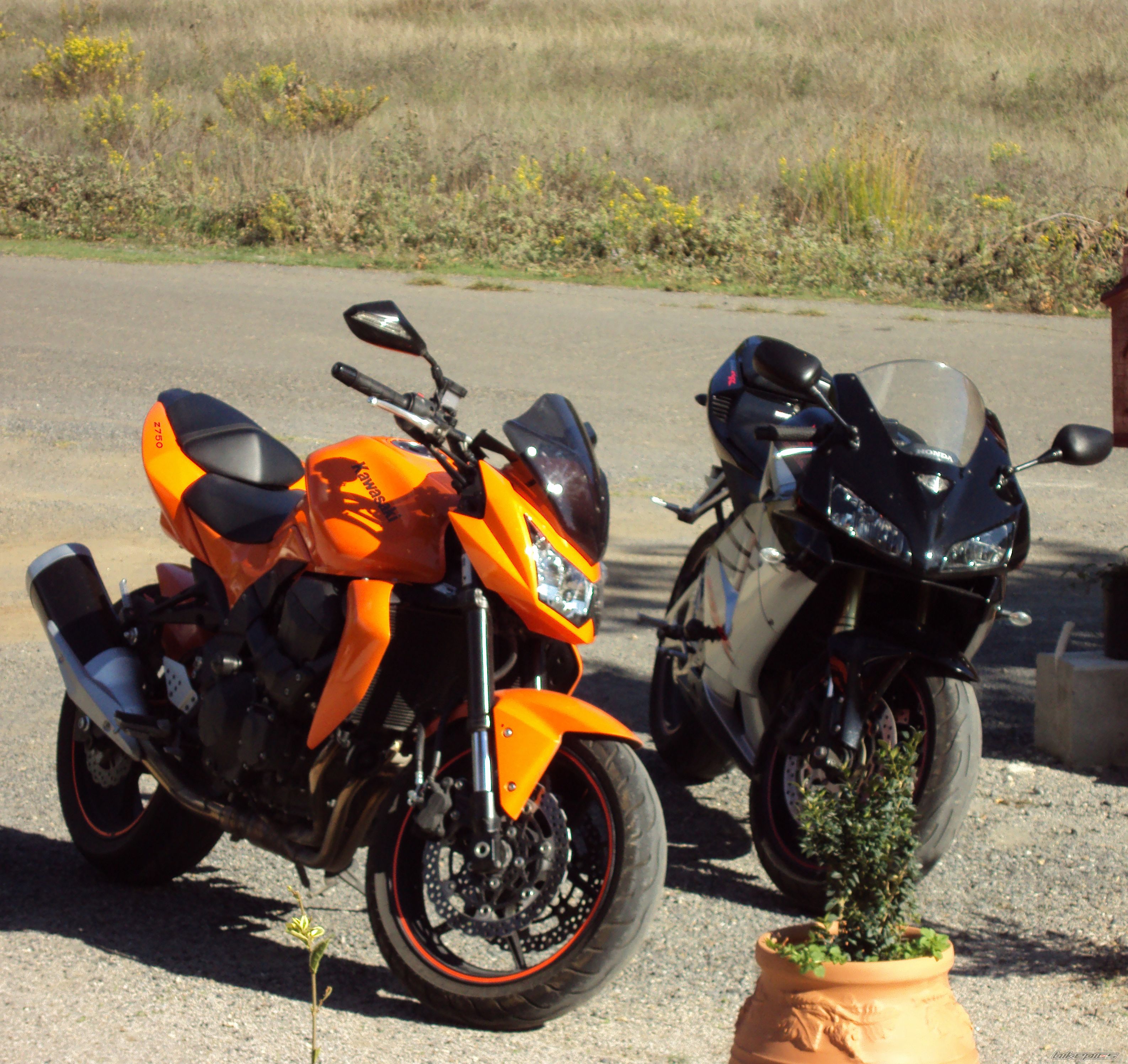 Photo 1797973