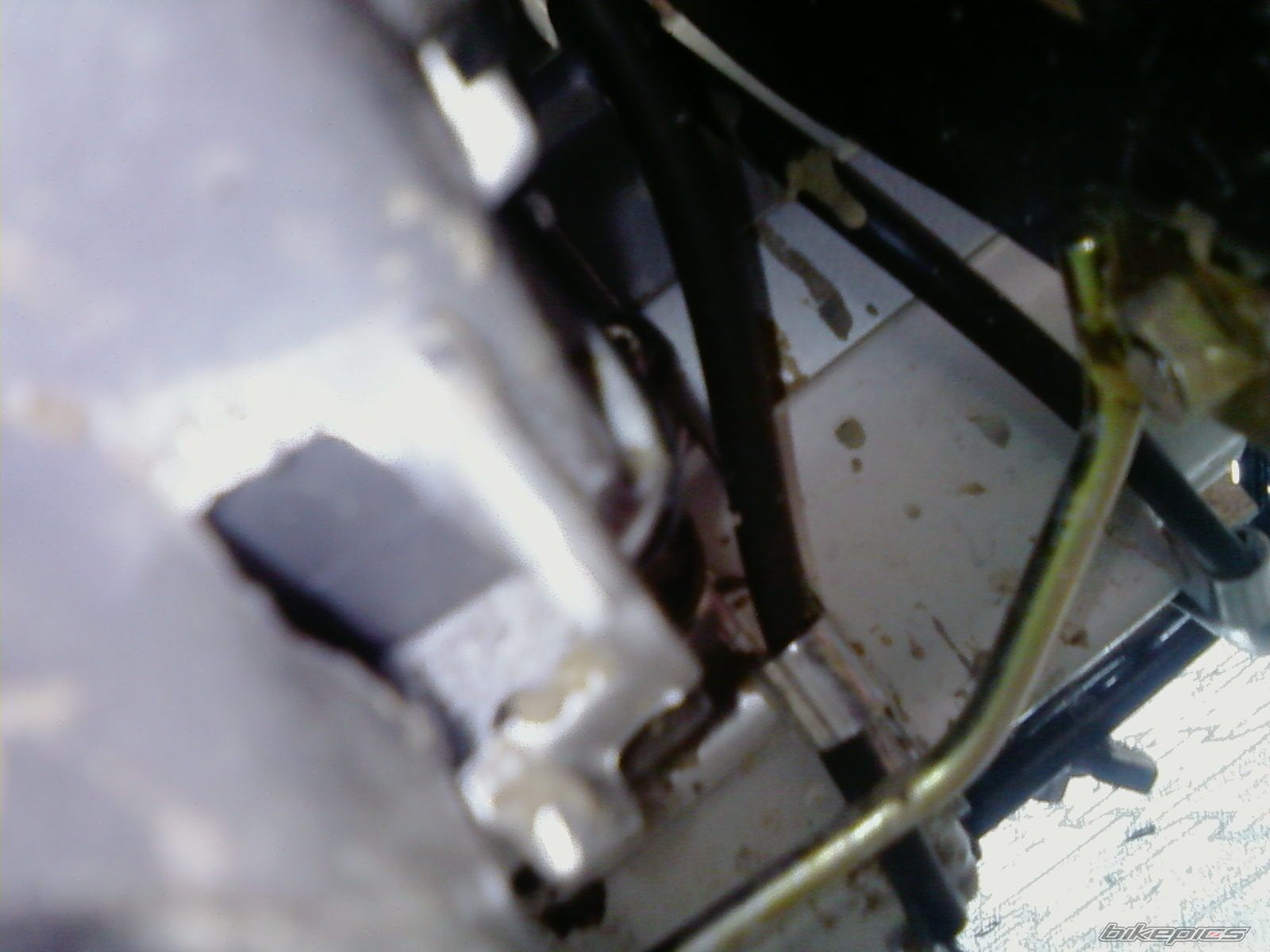 Photo 1798852