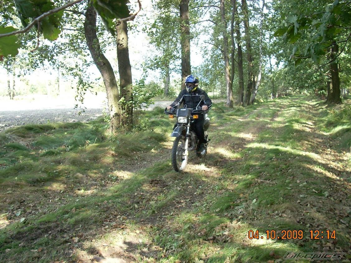 Photo 1799207