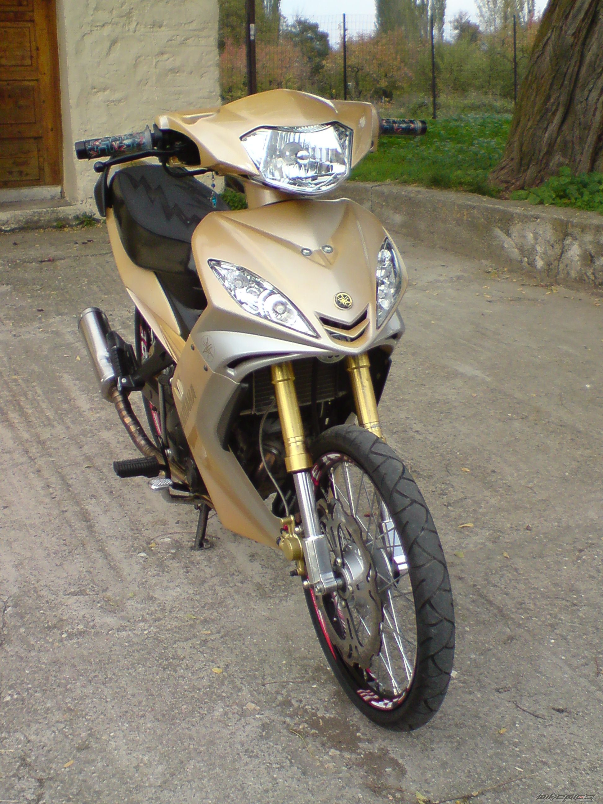 Photo 1816698