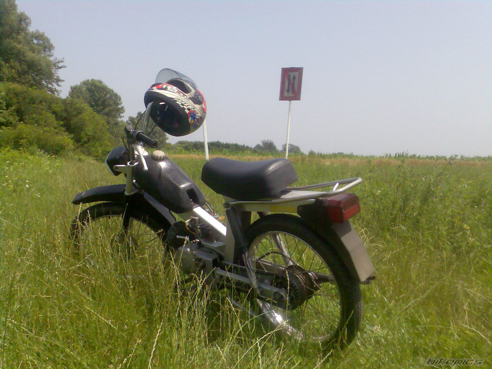 Photo 1822580